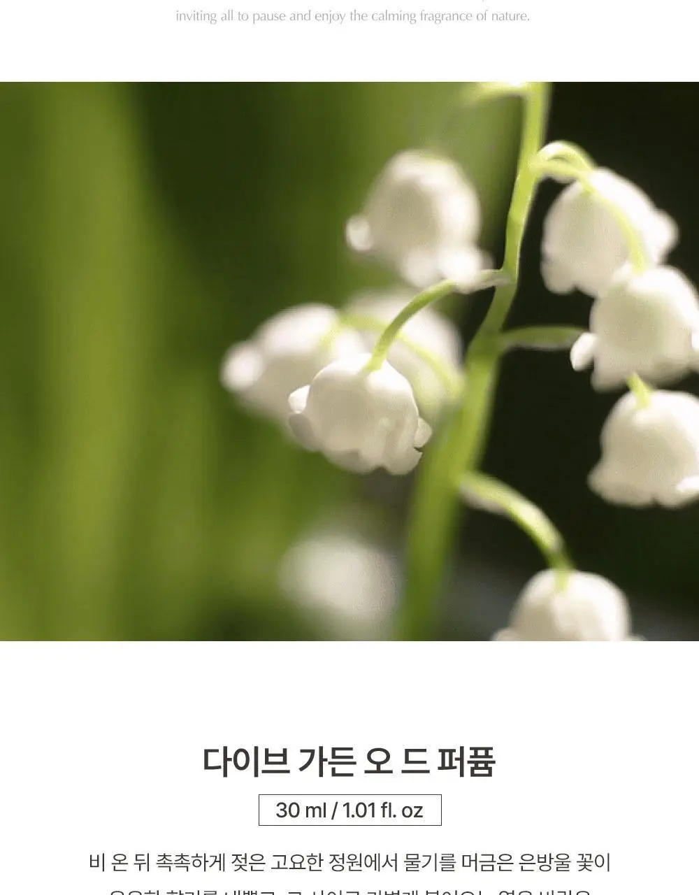 [러블리데이트향수] 루아페 EDP 30ml 9종 택1 (단품/기획) 상세페이지 16